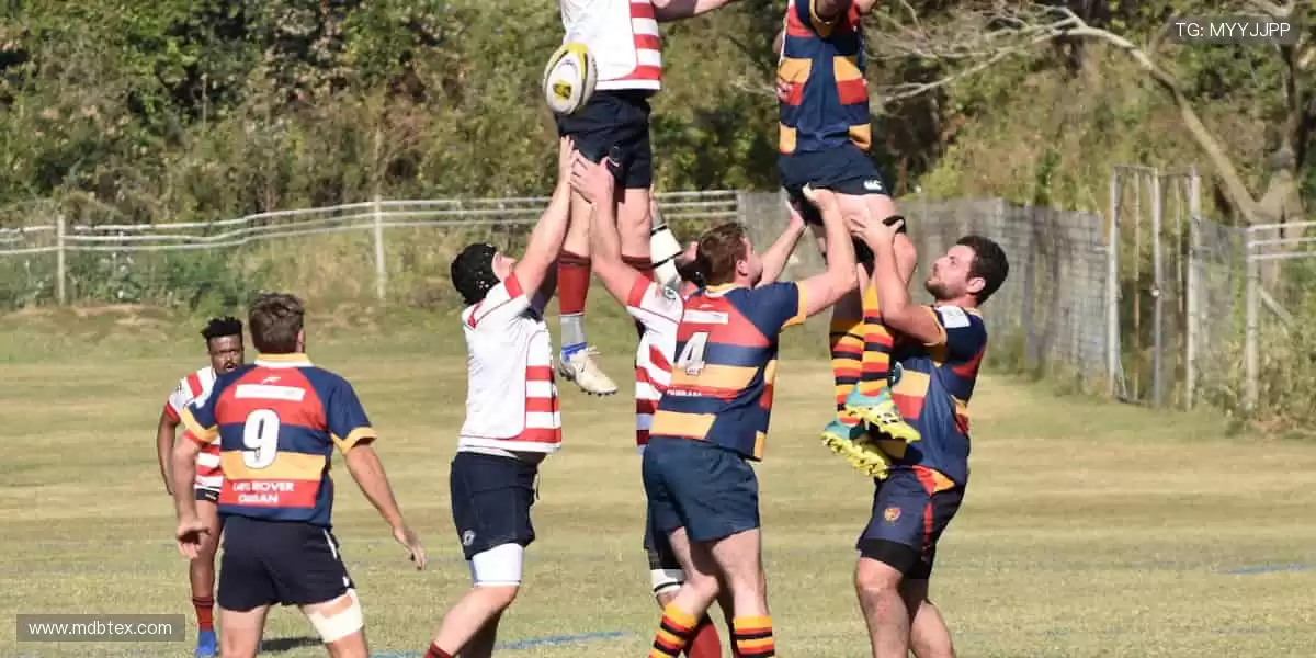 ✨ 一键订阅，精彩不断！最新赛事资讯，第一时间送达！